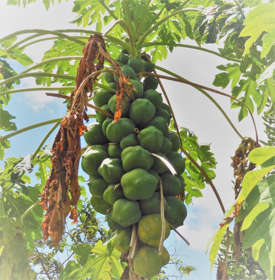 Domaine Saint Francois Saint-Francois (Grande-Terre) Ngoại thất bức ảnh